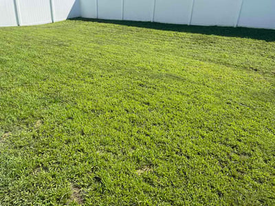 Lawn Care service in Pleasant View, 37146