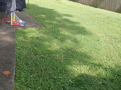 Lawn Care service in Pleasant View, 37146