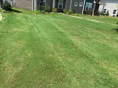 Lawn Care service in Cornelius, 28031