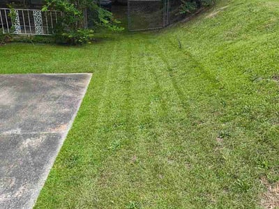 Lawn Care service in Augusta, 30904