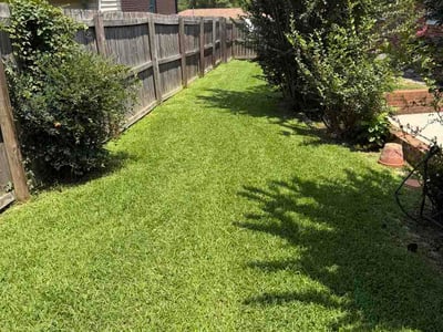 Lawn Care service in Augusta, 30904