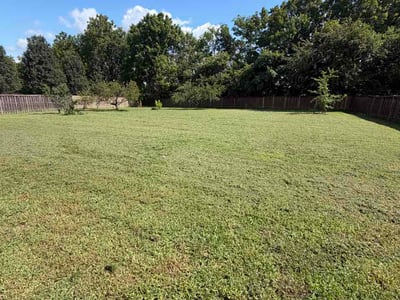 Lawn Care service in Nolensville, 37135