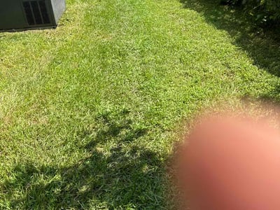Lawn Care service in Rego Park, 11374