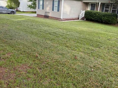 Lawn Care service in Huntington Beach, 92648