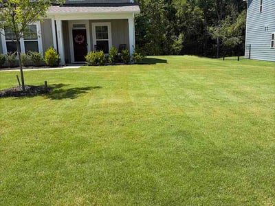 Lawn Care service in Huntington Beach, 92648