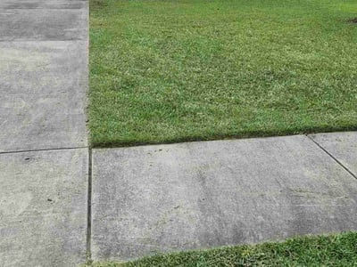 Lawn Care service in Rego Park, 11374