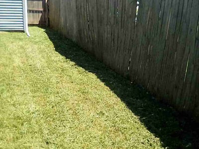Lawn Care service in Warrenton, 20186