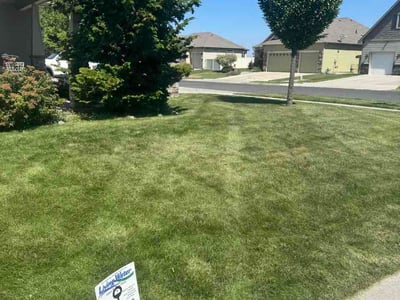 Lawn Care service in Colville, 99114