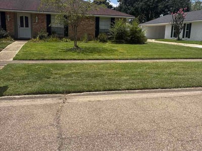 Lawn Care service in Zachary, 70791