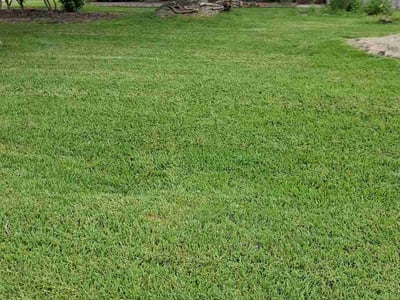 Lawn Care service in Suffolk, 23434