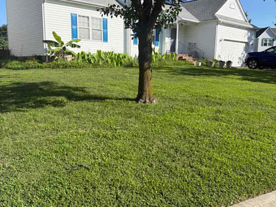 Lawn Care service in Suffolk, 23434