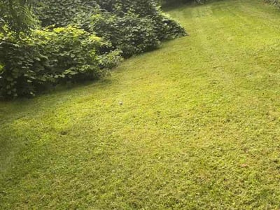 Lawn Care service in Irondeqoit, 14622