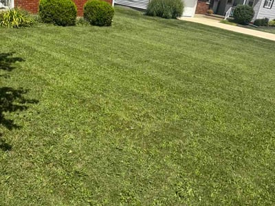 Lawn Care service in Altoona, 16601