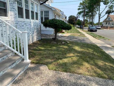 Lawn Care service in Linden, 07036