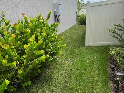 Lawn Care service in Middle Village, 11379