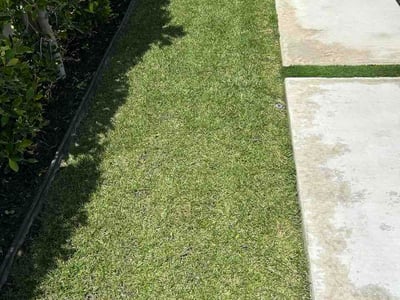 Lawn Care service in Compton, 90220
