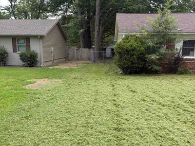 Lawn Care service in Jonesboro, 72401