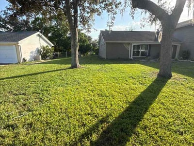 Lawn Care service in Hollis, 11423