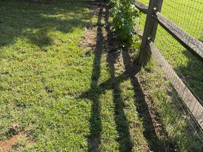 Lawn Care service in Lincolnton, 28092
