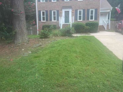 Lawn Care service in Piedmont Triad, 27523