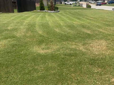 Lawn Care service in Jonesboro, 72401