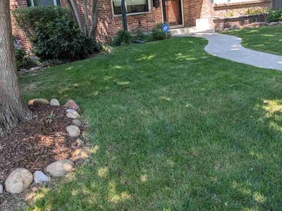 Lawn Care service in Hollis, 11423