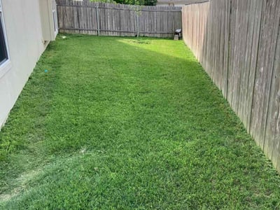 Lawn Care service in Dana Point, 92629