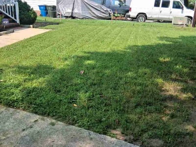 Lawn Care service in Piedmont Triad, 27523