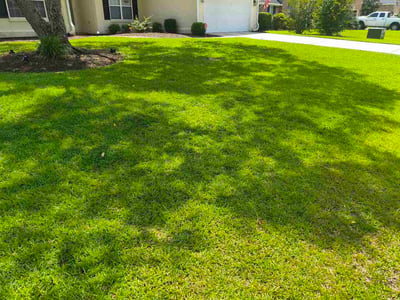 Lawn Care service in Richmond Hill, 11418
