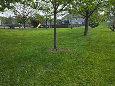 Lawn Care service in Richmond Hill, 11418