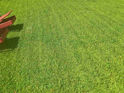 Lawn Care service in Yorktown, 23690