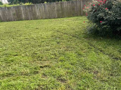 Lawn Care service in Yorktown, 23690