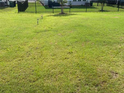 Lawn Care service in Monroe, 28112