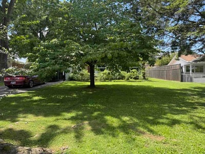 Lawn Care service in Loudon, 37774