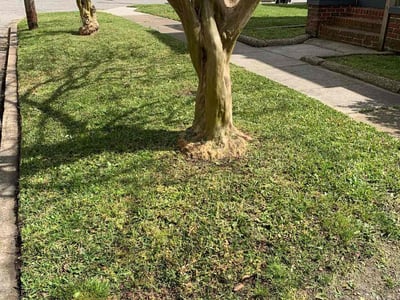 Lawn Care service in North Bergen, 07047