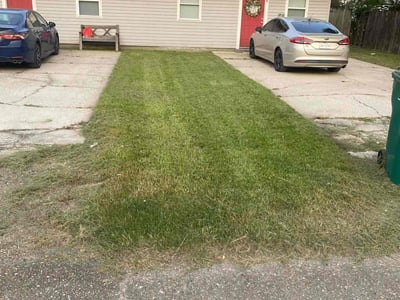 Lawn Care service in Livingston, 70754
