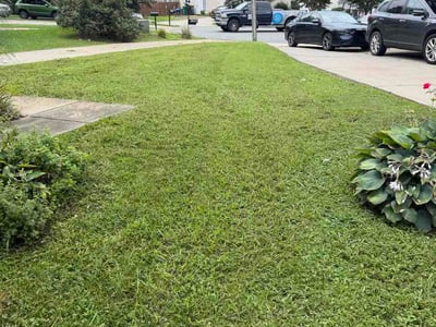 Lawn Care service in Bessemer City, 28016
