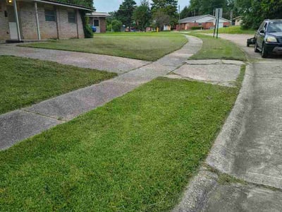 Lawn Care service in Hammond, 70401