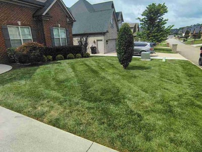 Lawn Care service in Glendora, 91741