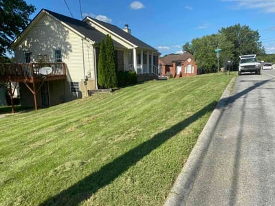 Lawn Care service in Antioch, 37013
