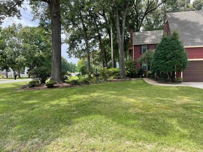 Lawn Care service in Prince George, 23875
