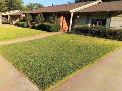 Lawn Care service in Wichita Falls, 76301