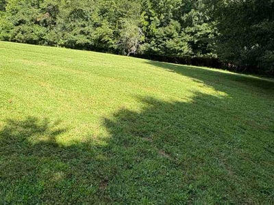 Lawn Care service in Asheville, 28801