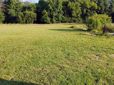 Lawn Care service in Indian Trail, 28079