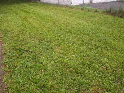 Lawn Care service in Cicero, 13039