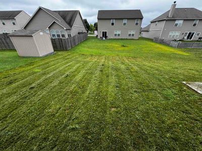 Lawn Care service in Cumberland, 46229