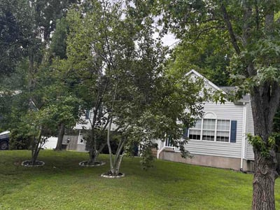 Lawn Care service in Fredericksburg, 22401