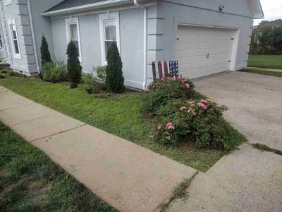 Lawn Care service in Venice, 90291