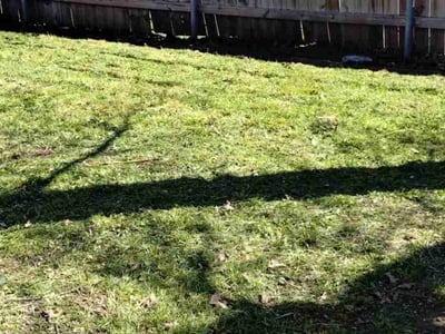 Lawn Care service in Arlington, 98223