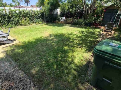 Lawn Care service in Downey, 90241